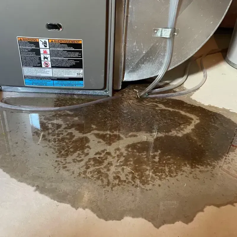 Appliance Leak Cleanup in Erlands Point-Kitsap Lake, WA